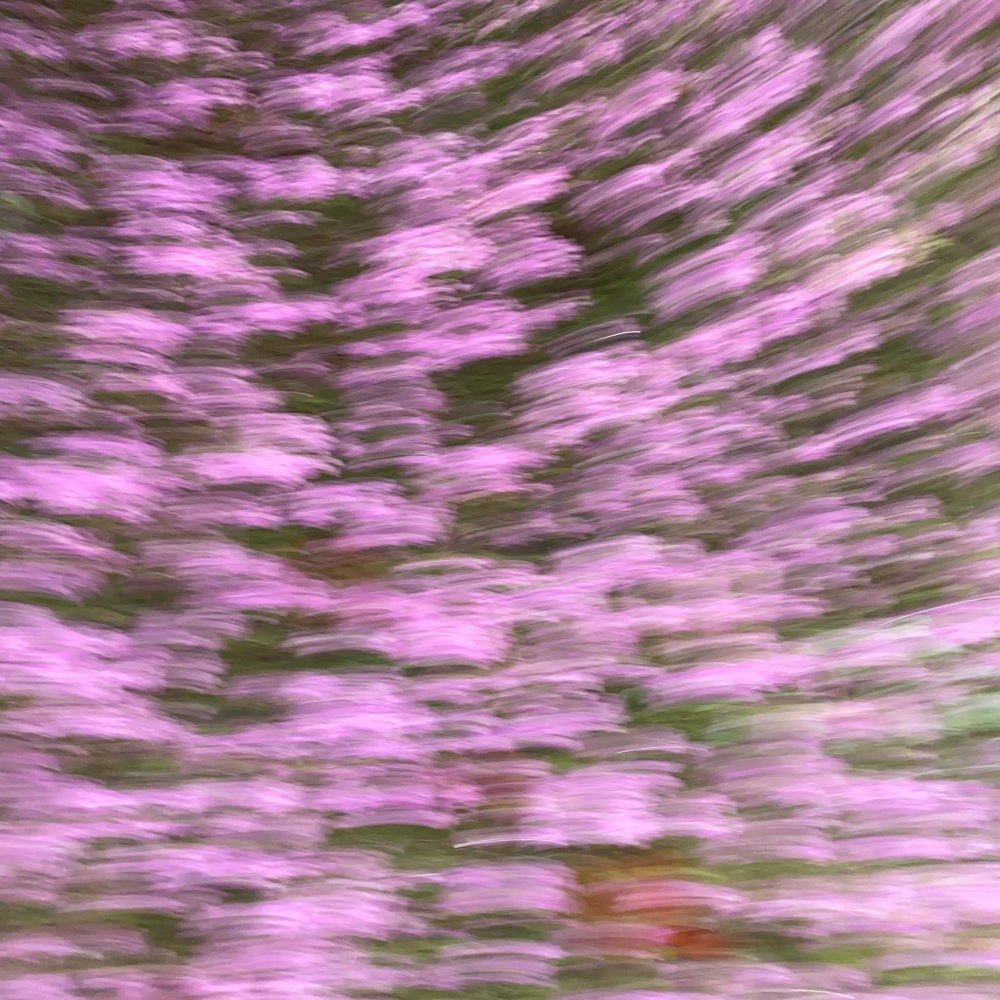 Meet your Posher, Kai